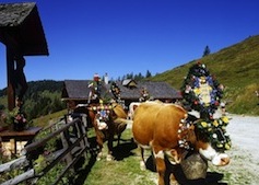 Bauernherbst im Grossarltal!!